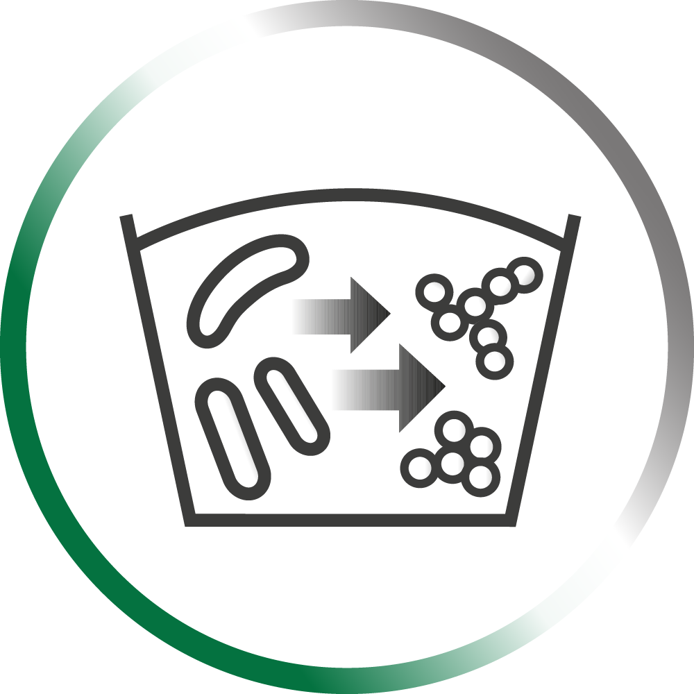 IconsWeb_Silierung