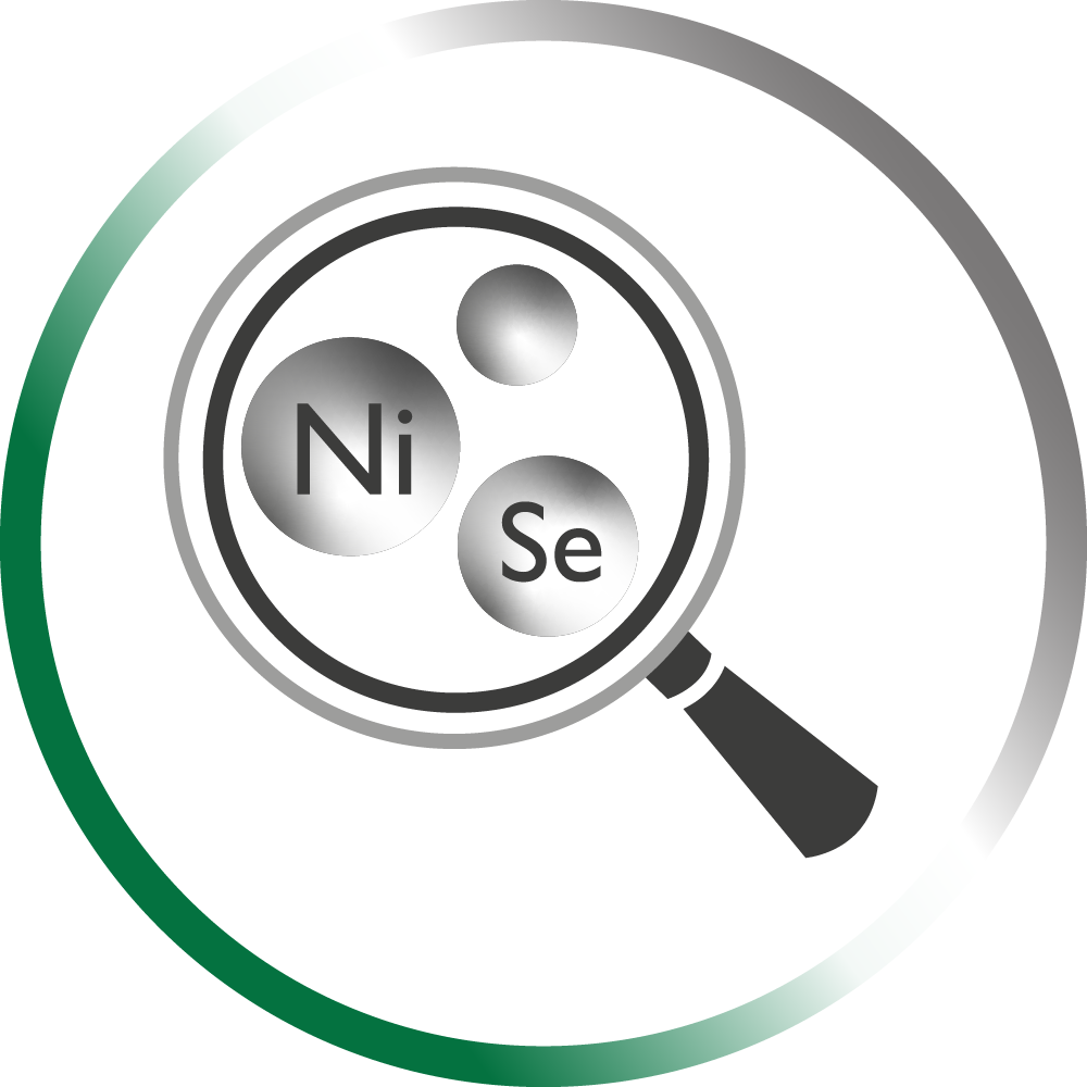 IconsWeb_Spuren