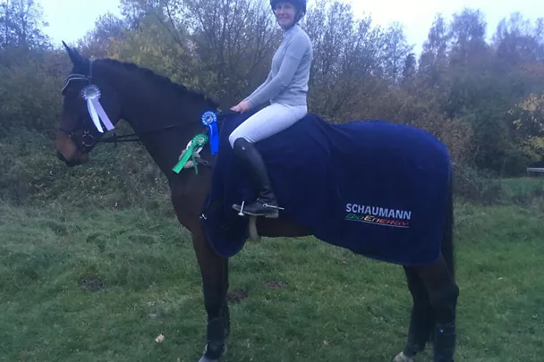 Pferd und Reiter Pferd und Reiter