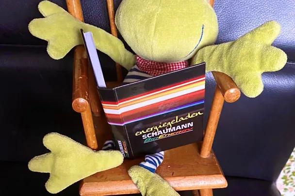 Frank the Frog Frank the Frog