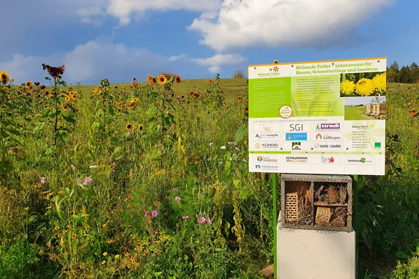 de_sbe_bluehpatenschaft_feld