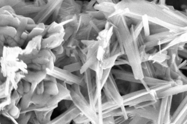 ACTILINC - Spurenelement-Chelat-Komplex