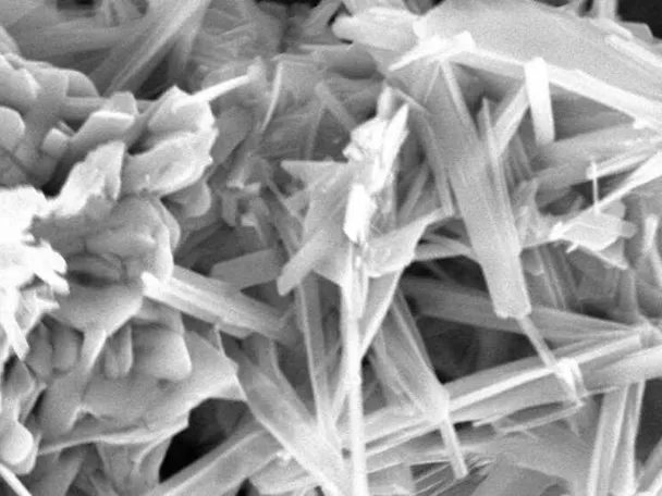 ACTILINC - Spurenelement-Chelat-Komplex