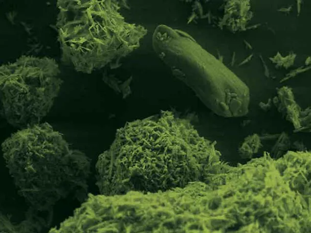 BC.MAGXX - Noch Verfügbarer BC.MAGXX - Noch Verfügbarer