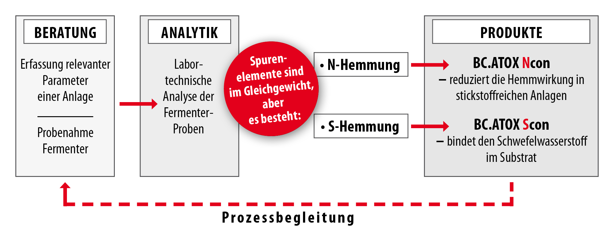 Infografik BC.ATOX Ncon und BC.ATOX Scon Infografik BC.ATOX Ncon und BC.ATOX Scon