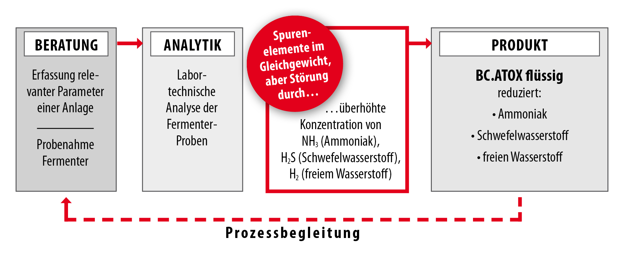 Prozessbegleitung - BC.ATOX flüssig Prozessbegleitung - BC.ATOX flüssig