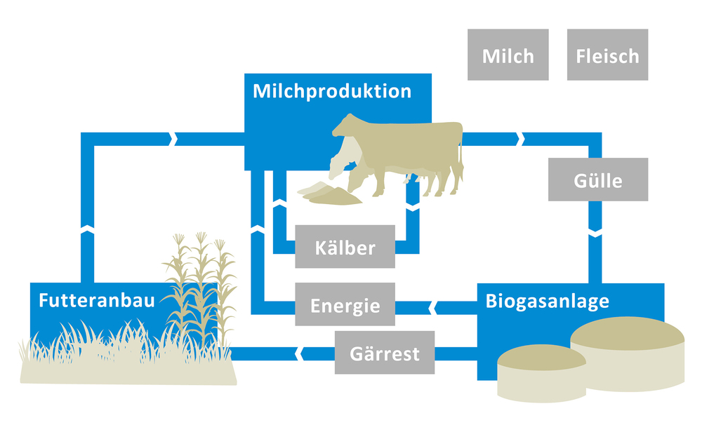 Produktionssystem auf Gut Hülsenberg, vereinfachte Darstellung