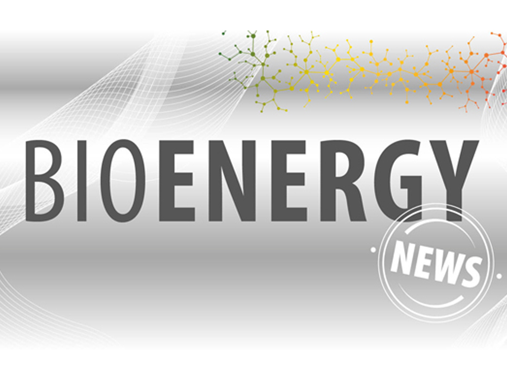 Teaserbild zu Schaumann BioEnergy NEWS