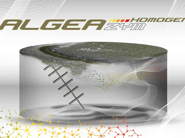 Grafik ALGEAZYM Homogen