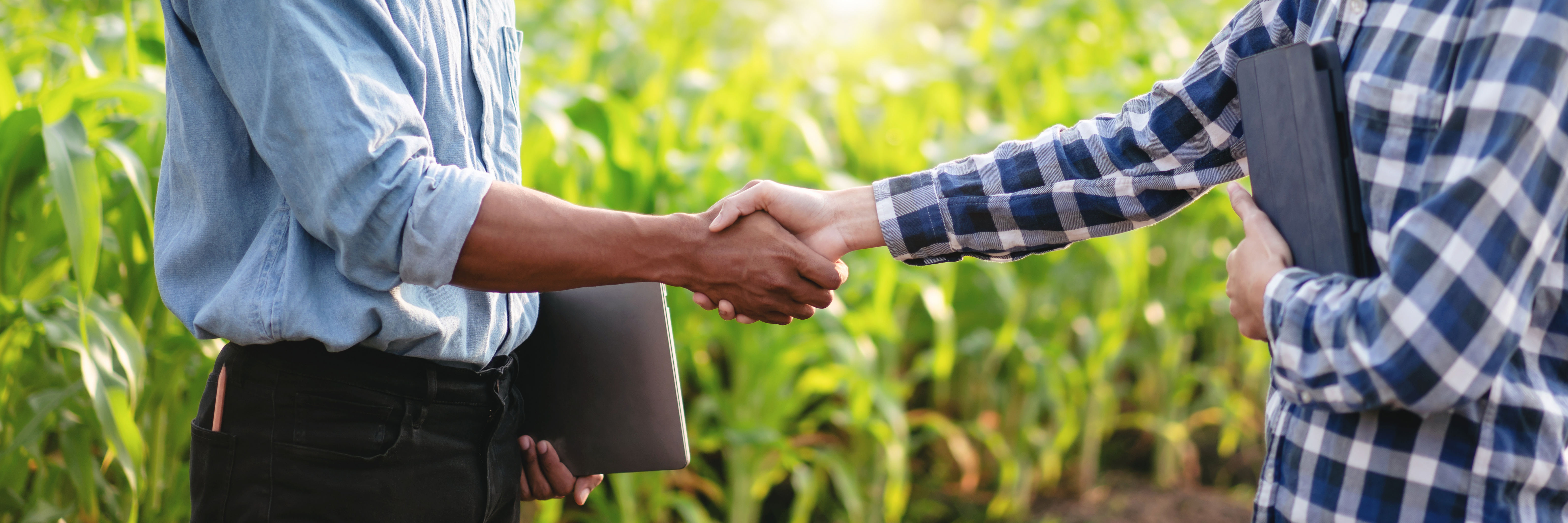 AdobeStock_625930207_Katcha