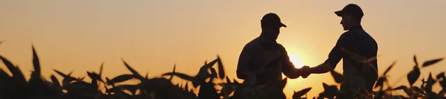 AdobeStock_818813227_StockMediaSeller_gespiegelt