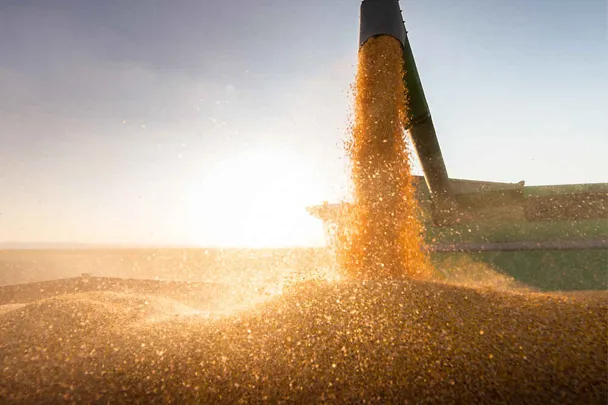 Ernte Sonnenuntergang Ernte Sonnenuntergang