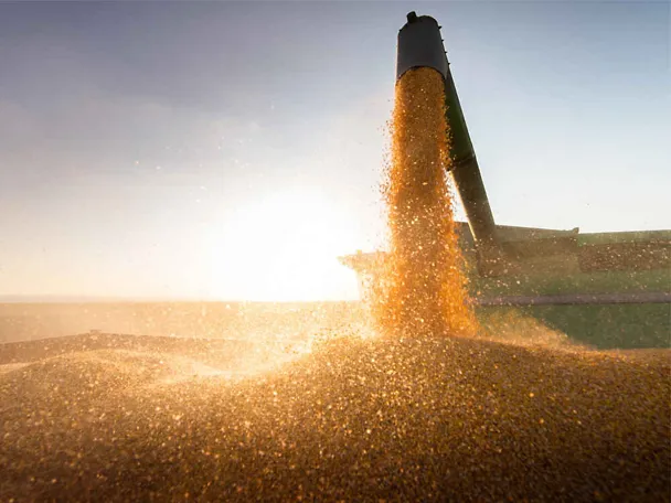 Ernte Sonnenuntergang Ernte Sonnenuntergang