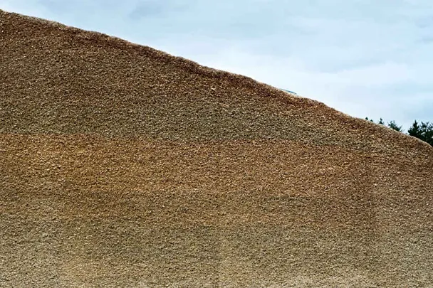 Siloanschnitt Siloanschnitt