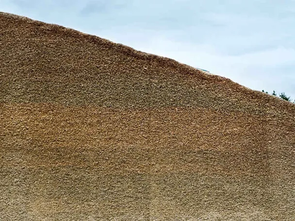 Siloanschnitt Siloanschnitt