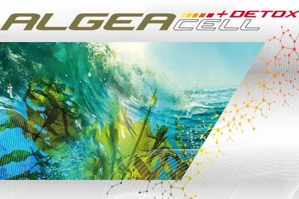 Imagebild ALGEACELL + Detox mit Algenbild Imagebild ALGEACELL + Detox mit Algenbild