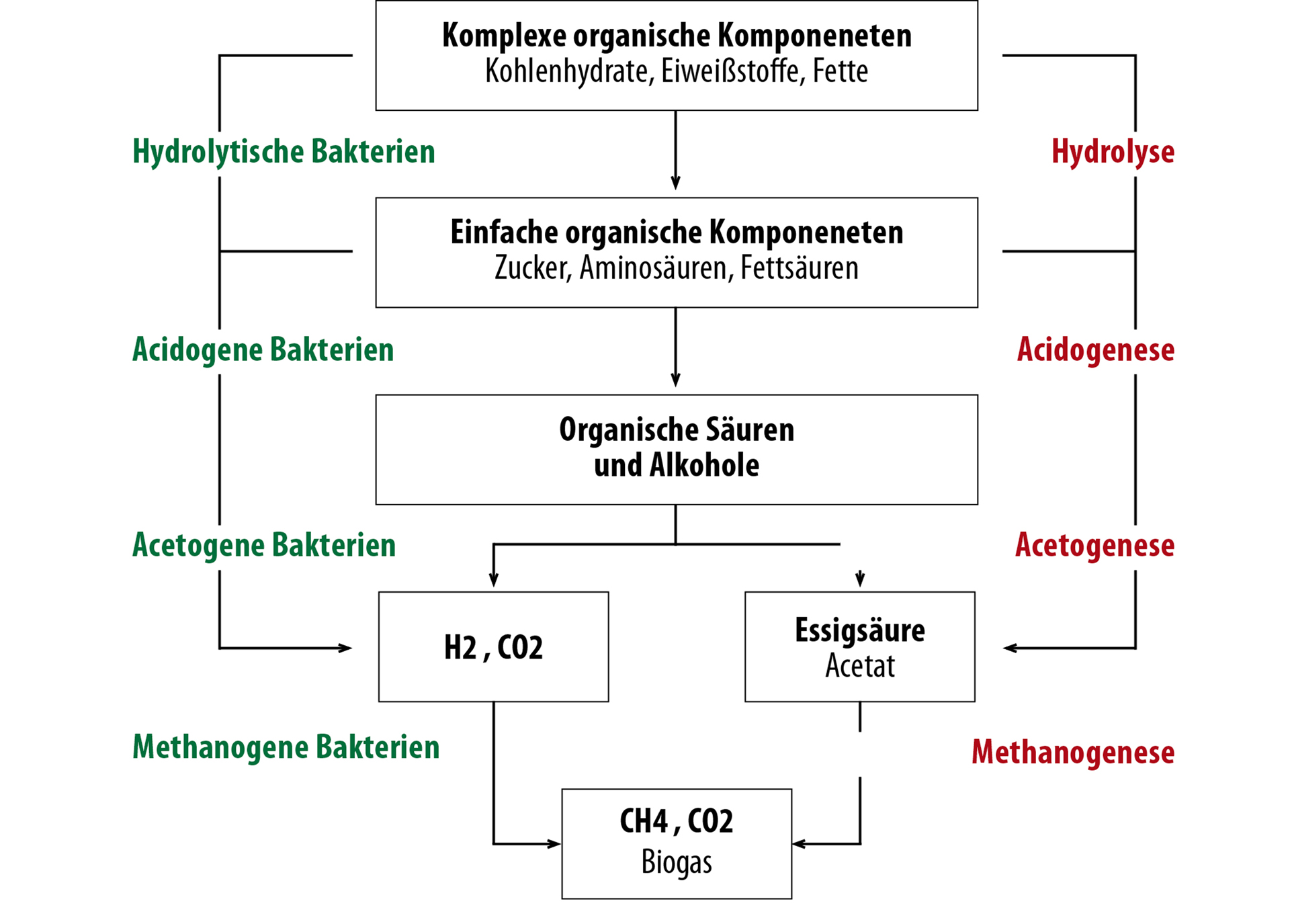 Umwandlung von Gärsubstrat in Biogas