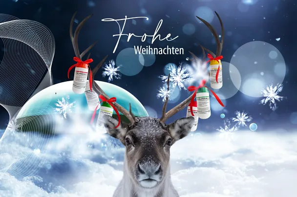 de_sbe_XMas_4_3_oText de_sbe_XMas_4_3_oText