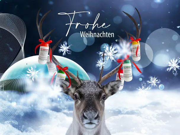 de_sbe_XMas_4_3_oText de_sbe_XMas_4_3_oText