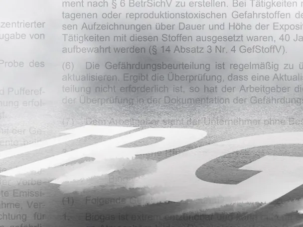 Grafische Darstellung Schriftzug TRGS in grau