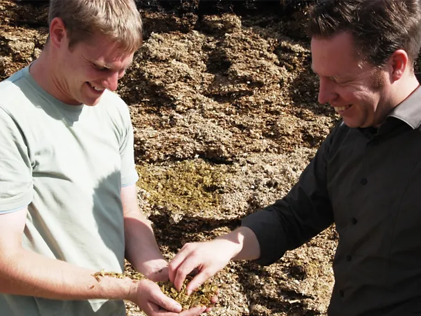 Beratungsgespräch von zwei Männern an der Siloanschnittfläche