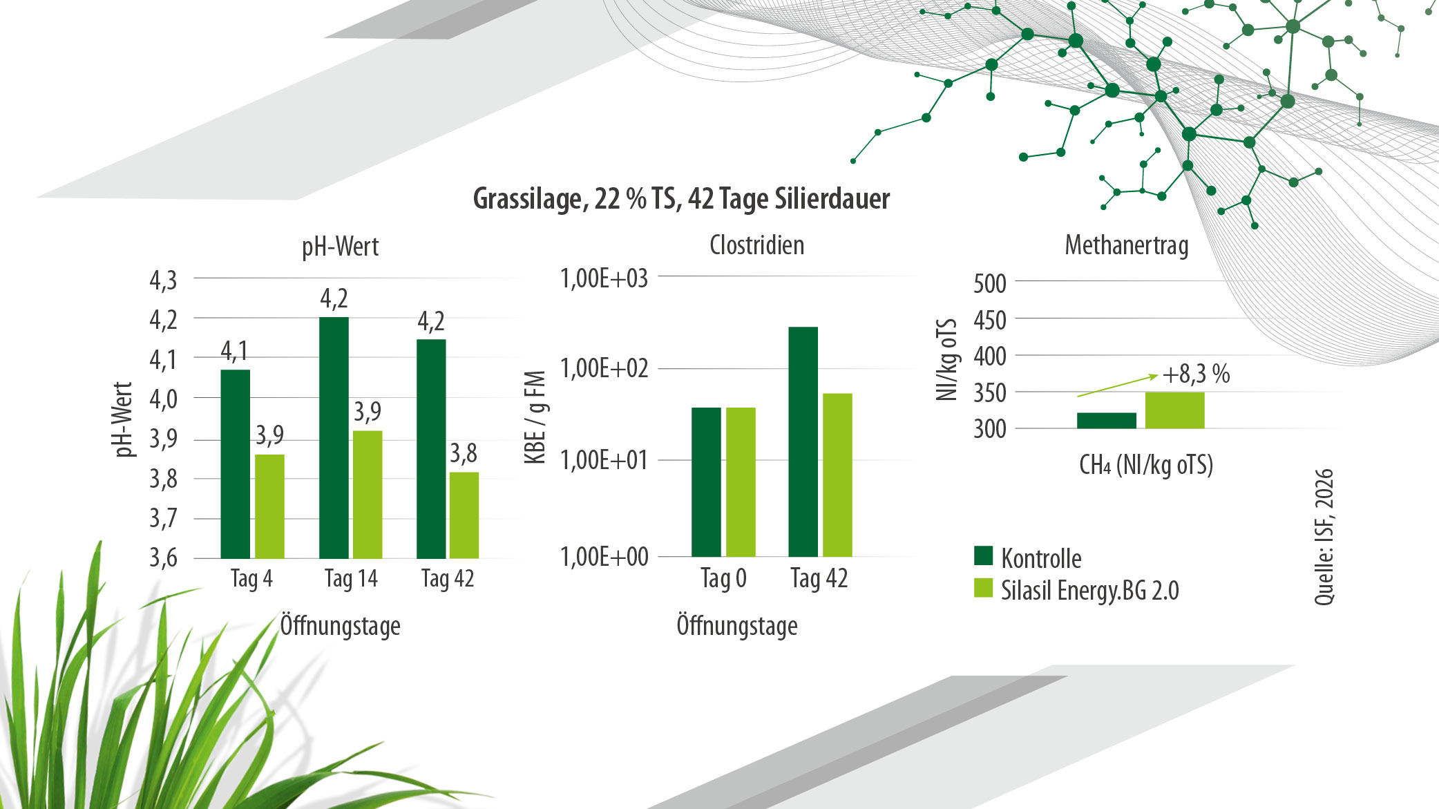 Versuchsergebnisse grassilage nach Einsatz SILASIL ENERGY.BG 2.0