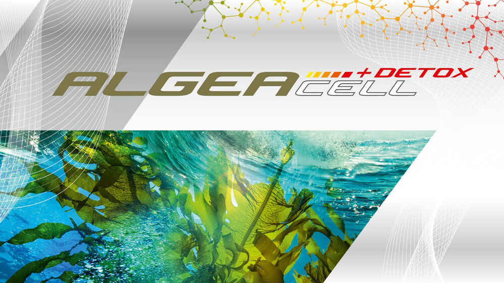 ALGEACELL + Detox - Die Alge macht wieder Welle!