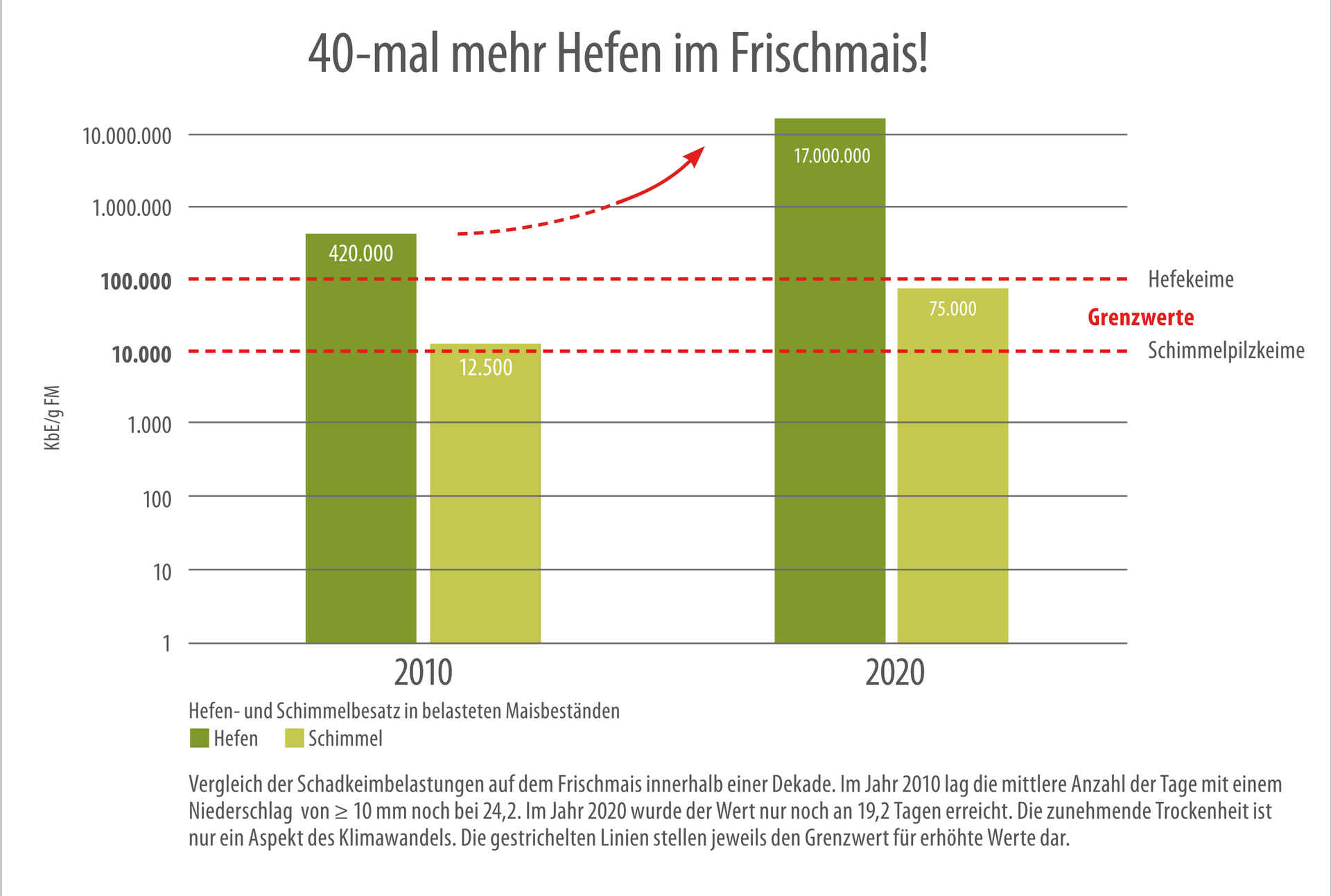 40x mehr Hefen im Frischmais!