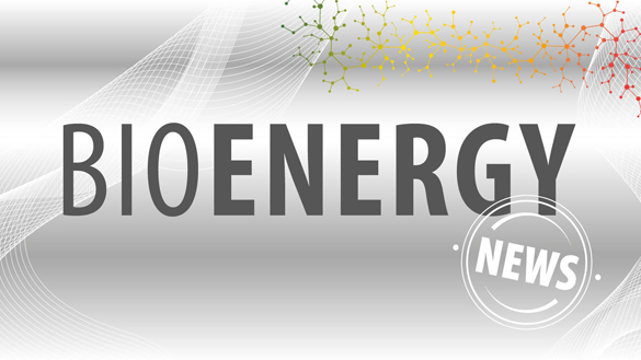 BioEnergy News